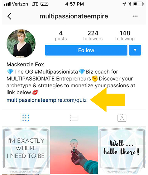 Instagram bio from Multipassionate Empire with quiz link