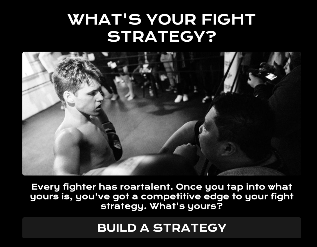 what is your fighter style quiz