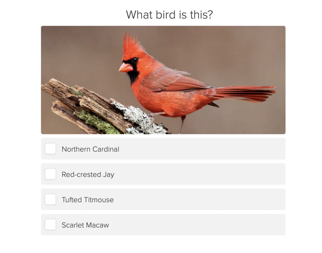Scott Keller bird quiz question
