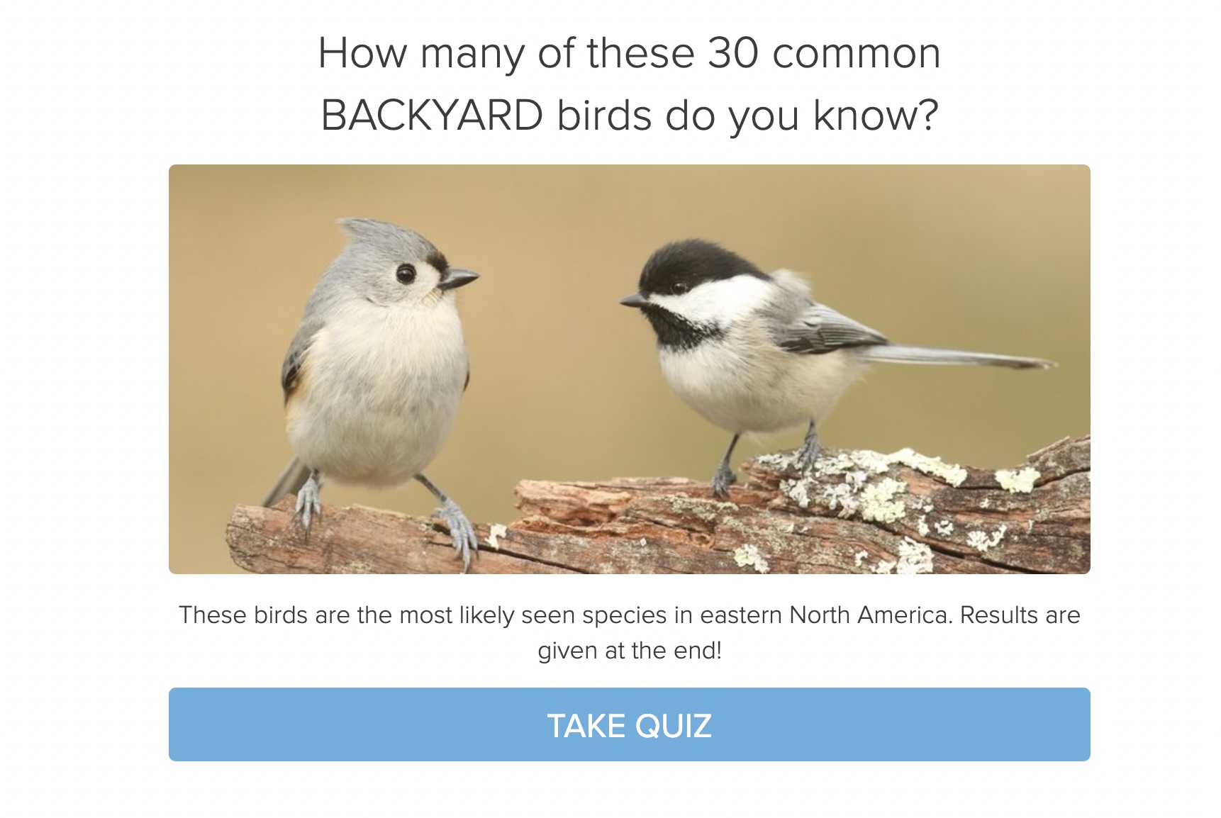 Scott Keller Backyard Birds Quiz