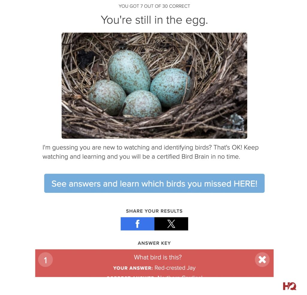 Bird quiz result