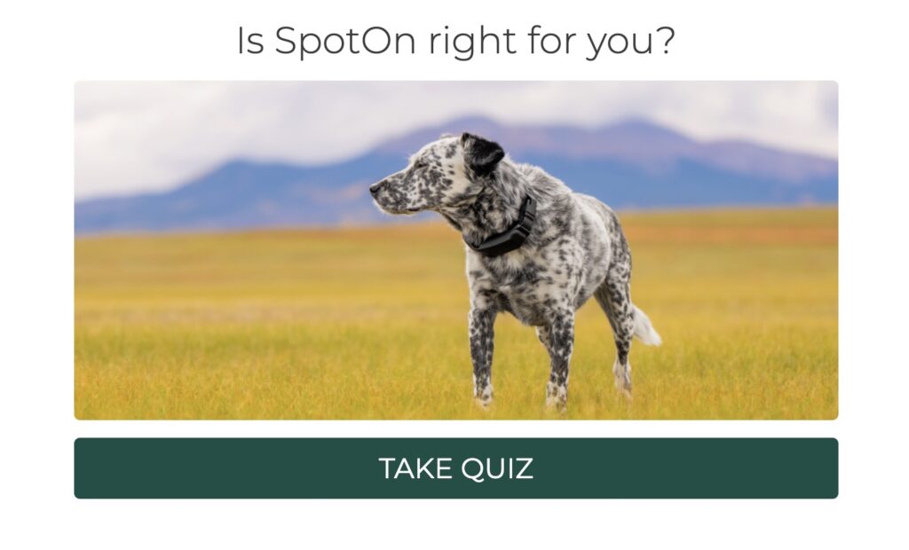 SpotOn Quiz