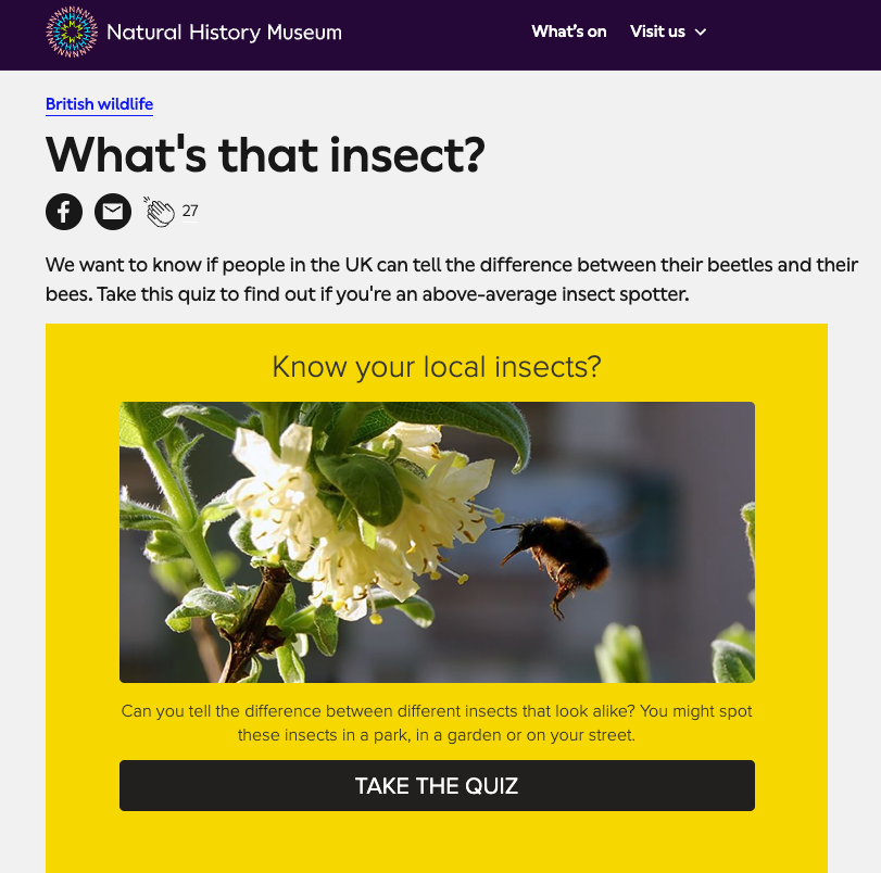 Natural History Museum’s “What’s that insect?” quiz.