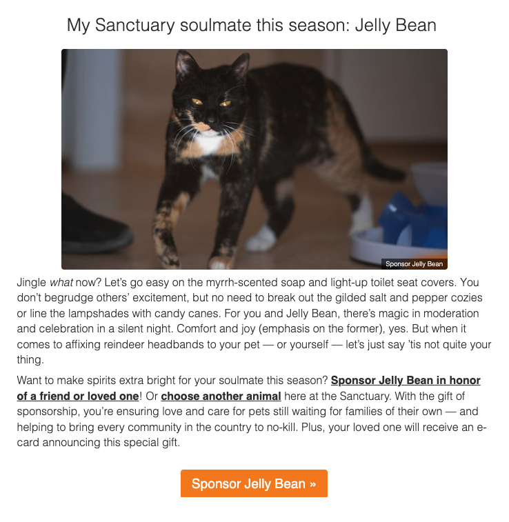 Best Friends Animal Society’s Sanctuary Soulmate quiz result